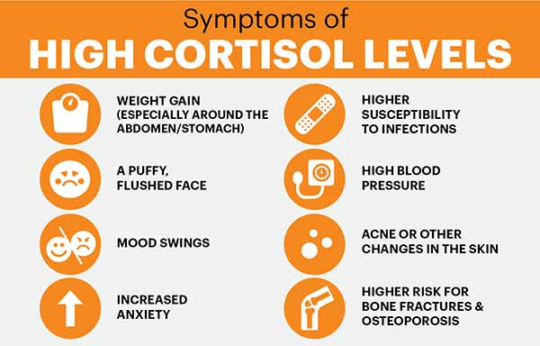 Cortisol Qu Est Ce Que C Est Sympt Mes D Un Taux De Cortisol Lev Hot   Symptoms Of High Cortisol Levels Infographic 