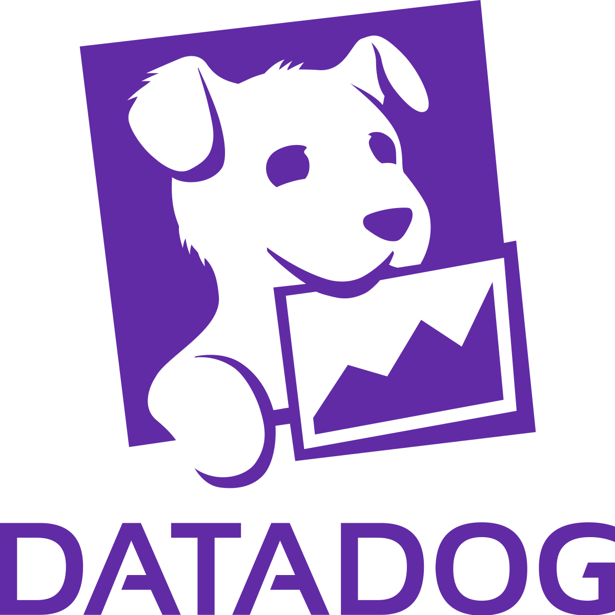 Datadog APM tool
