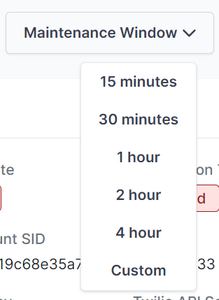 maintenance window